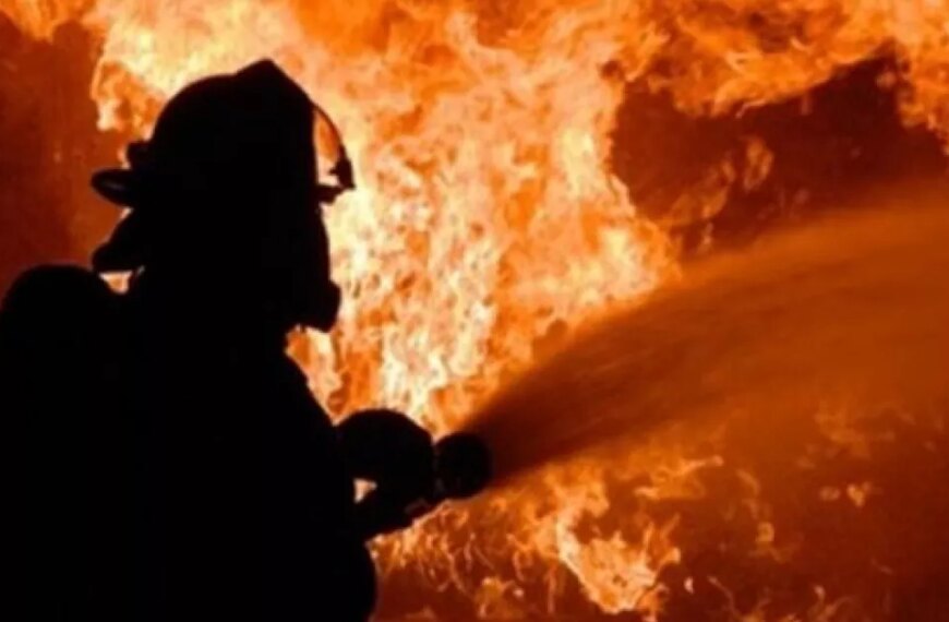Масштабна загорання у Дунайському заповіднику сталося через падіння частин безпілотника противника.