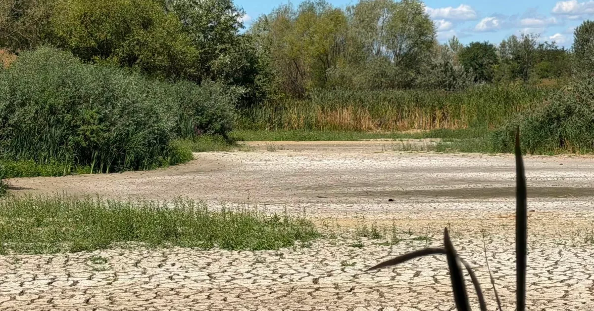 В Ужгороді висохло Чорне озеро: унікальна екосистема опинилася під загрозою&hellip;