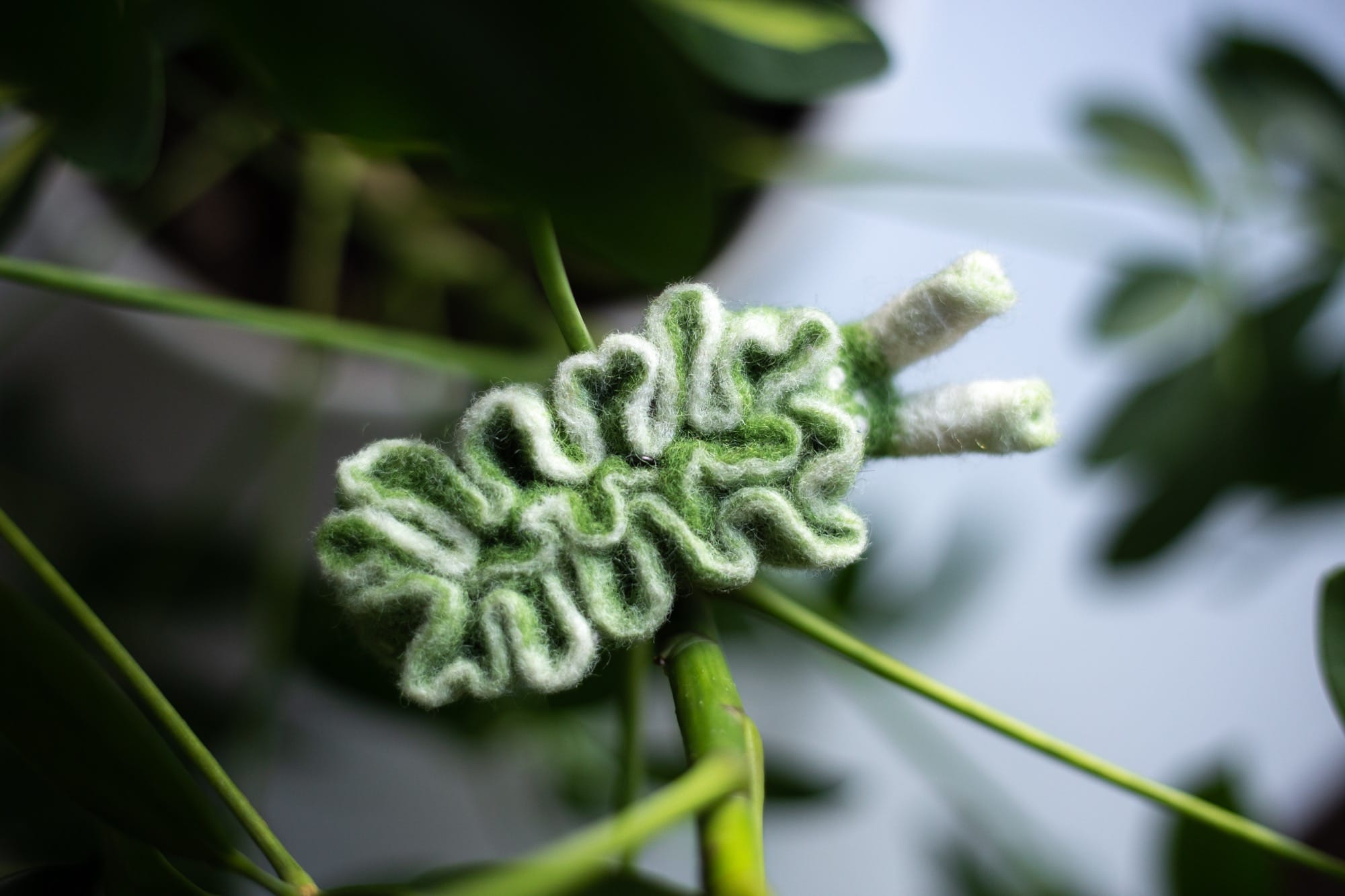 Dive into Wool Creature Lab's World of Vibrant Felted Nudibranchs3