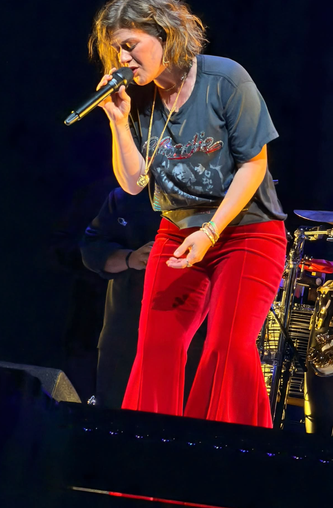 Kelly Clarkson's new hair transformation leaves fans saying the same thing1