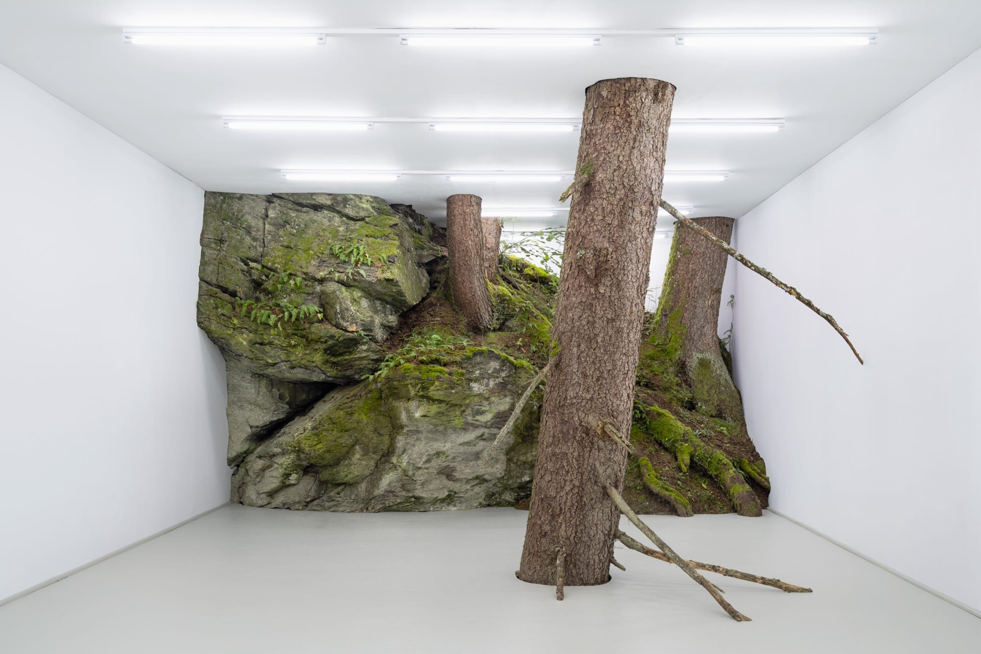 In 'Fictional Nature,' Fabian Knecht Encloses Live Trees and Craggy Stones in a White Cube Gallery1