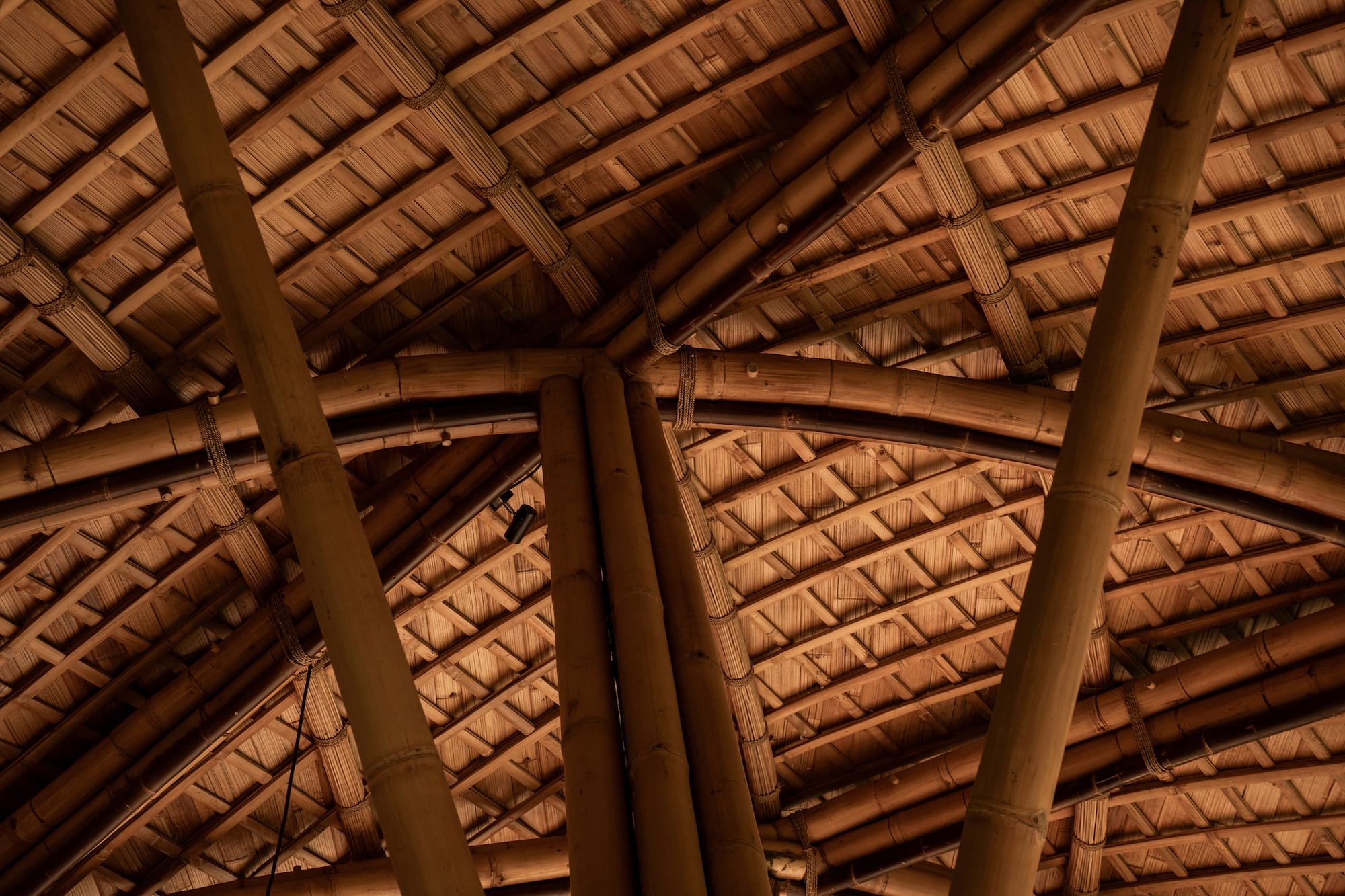 Pablo Luna Studio Takes Inspiration from Nature for Its Climate-Responsive Architecture2