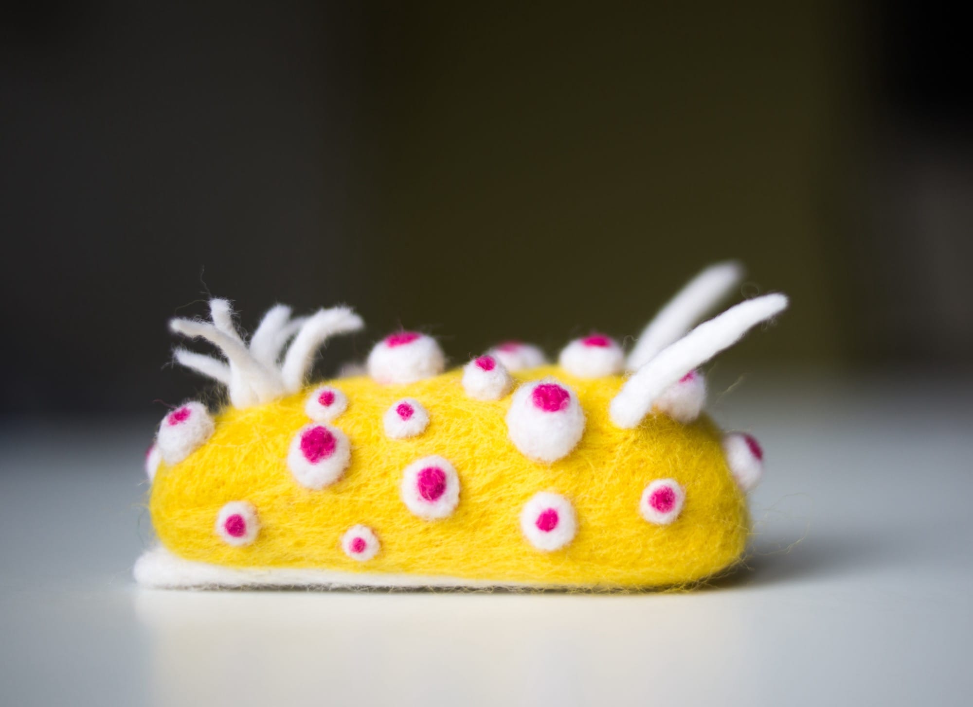 Dive into Wool Creature Lab's World of Vibrant Felted Nudibranchs5