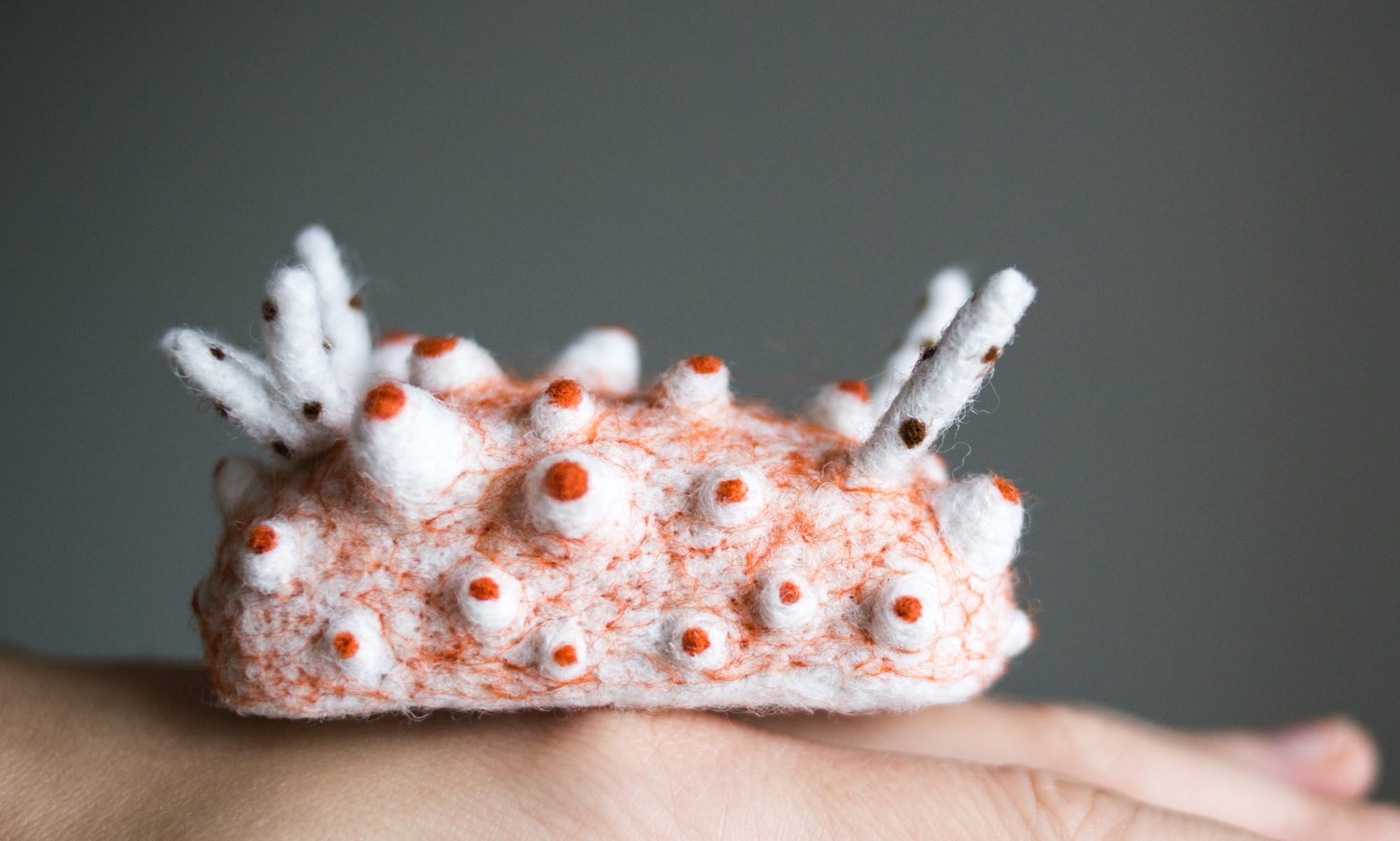 Dive into Wool Creature Lab's World of Vibrant Felted Nudibranchs2