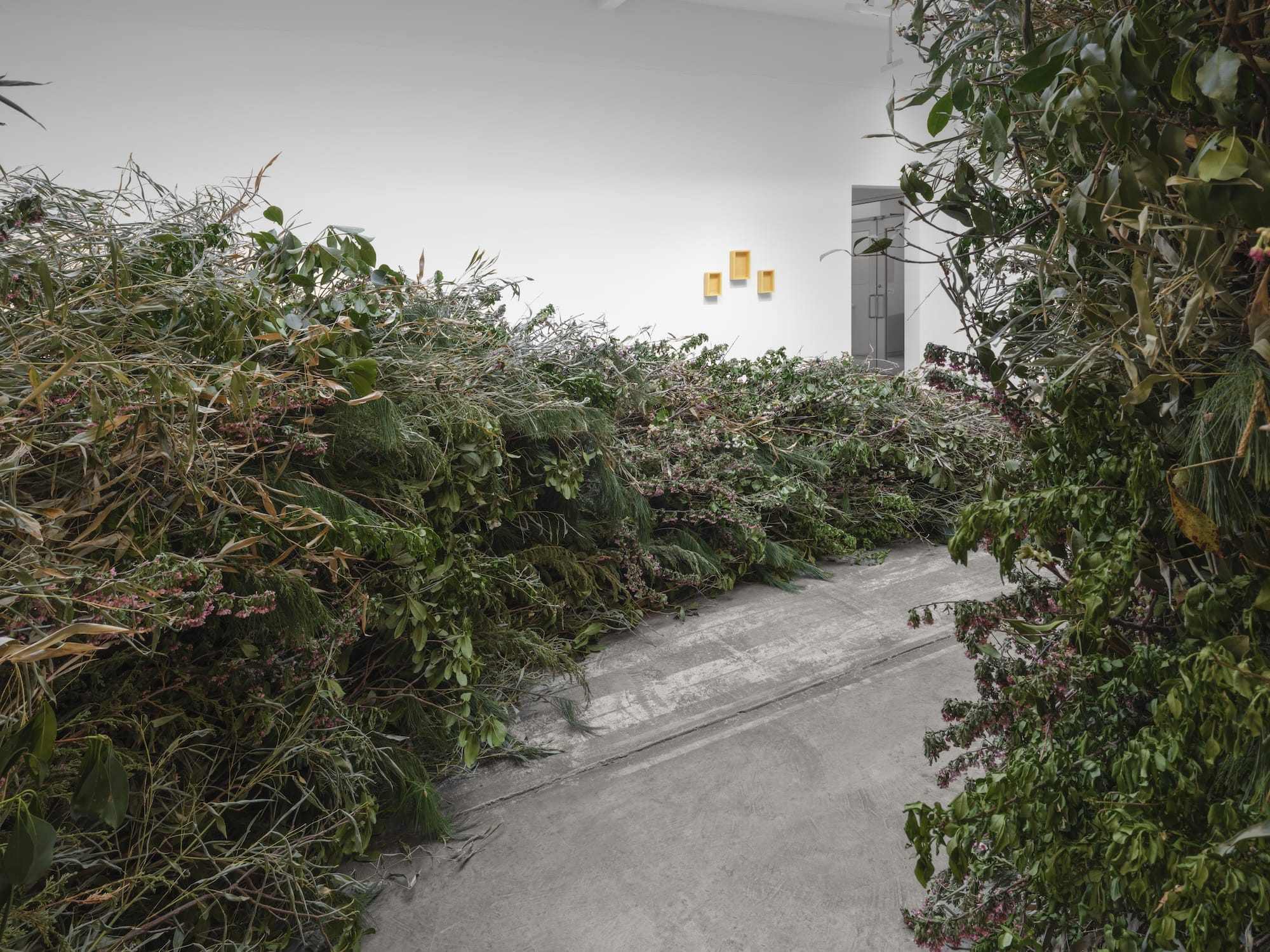 How Monumental Environmental Works by Meg Webster Cultivate Reconnection10