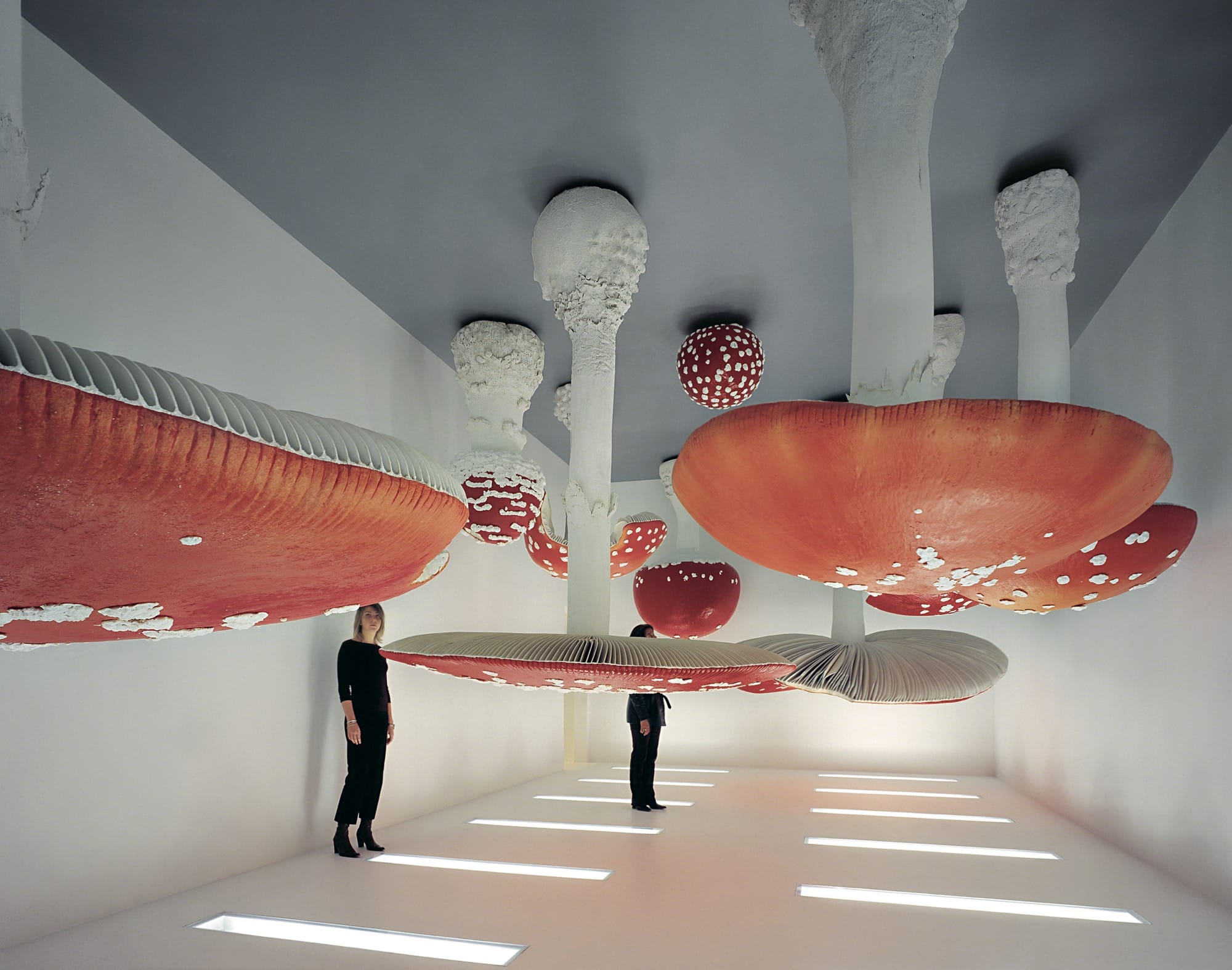 Spanning 200+ Works, a New Book Celebrates the World of Fungi0