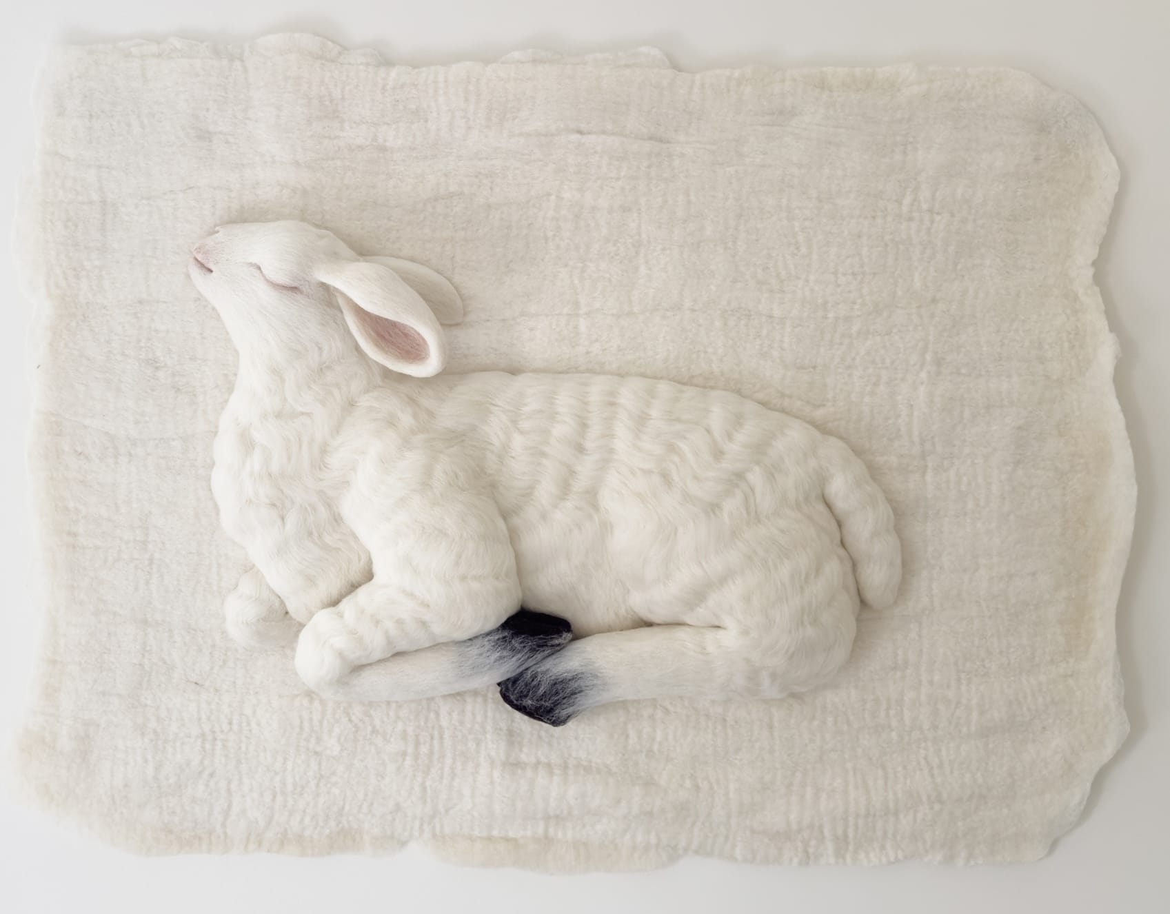 Animals and Ornament Emerge from Felted Wool in Holly Guertin's Textiles1