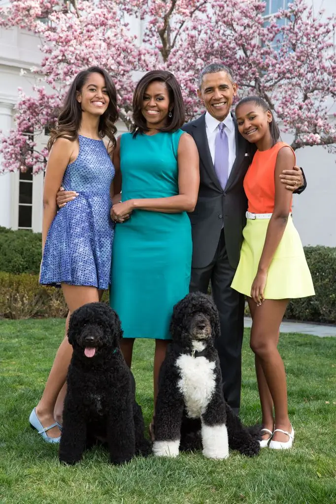 Barack and Michelle Obama mourn heartbreaking loss of beloved White House dog Sunny: 'Miss her terribly'1