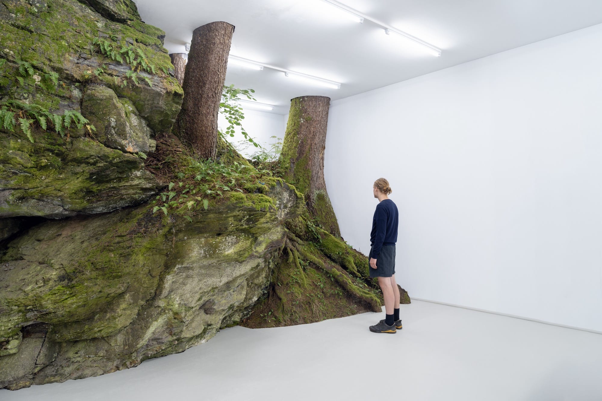 In 'Fictional Nature,' Fabian Knecht Encloses Live Trees and Craggy Stones in a White Cube Gallery0