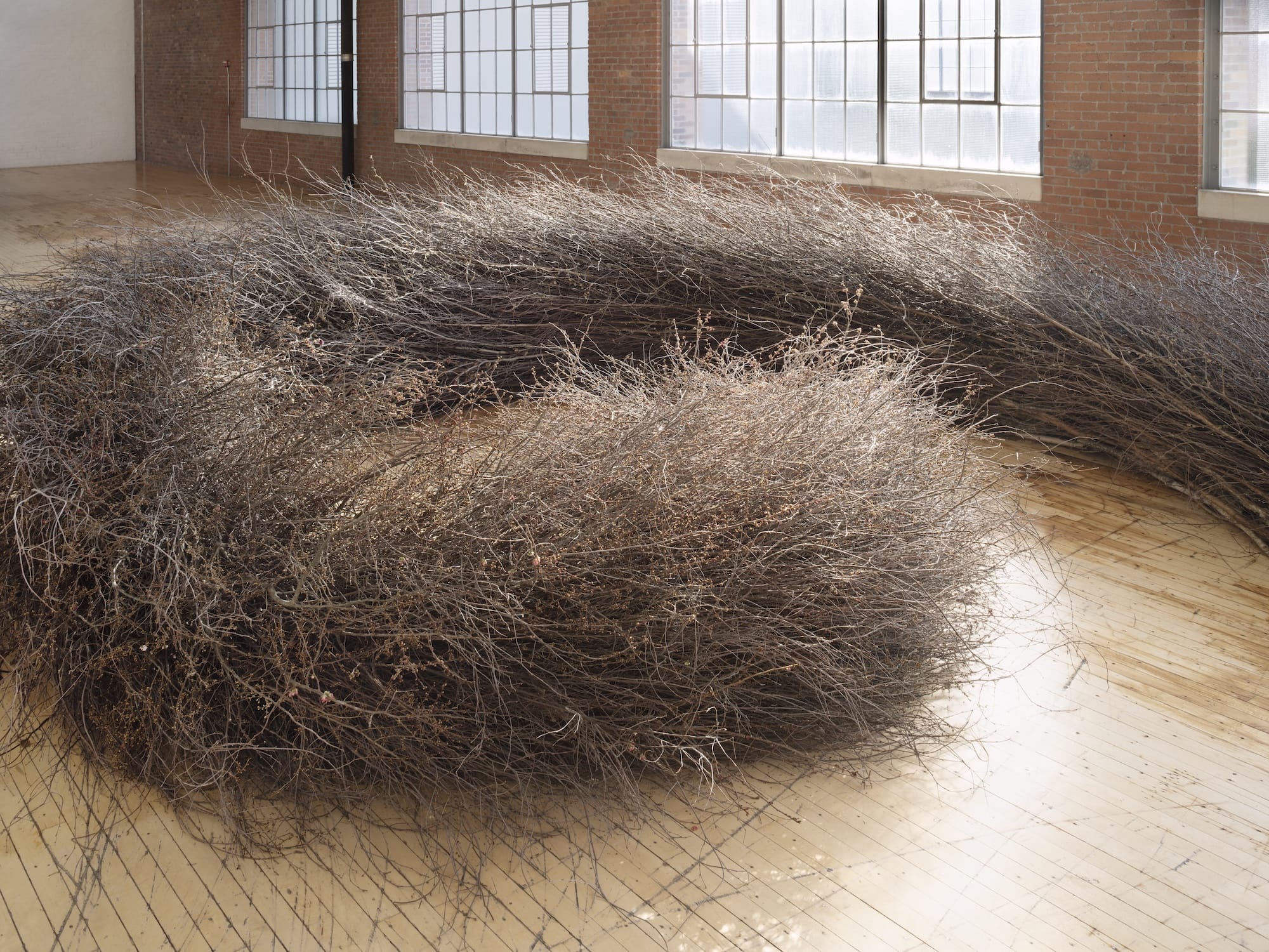 How Monumental Environmental Works by Meg Webster Cultivate Reconnection3