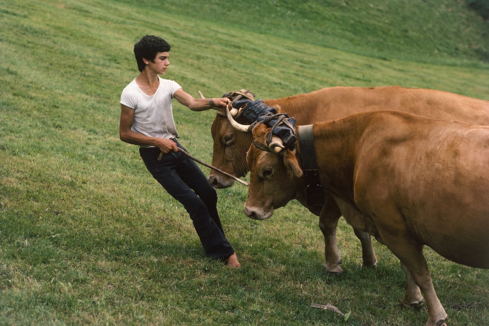 France Celebrates the Bicentennial of Photography with Traveling Themed Exhibitions3