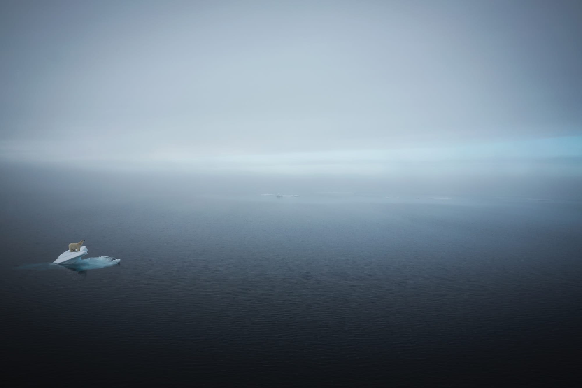 Björn Persson's New Book Highlights the World's Incredible and Endangered Wildlife3