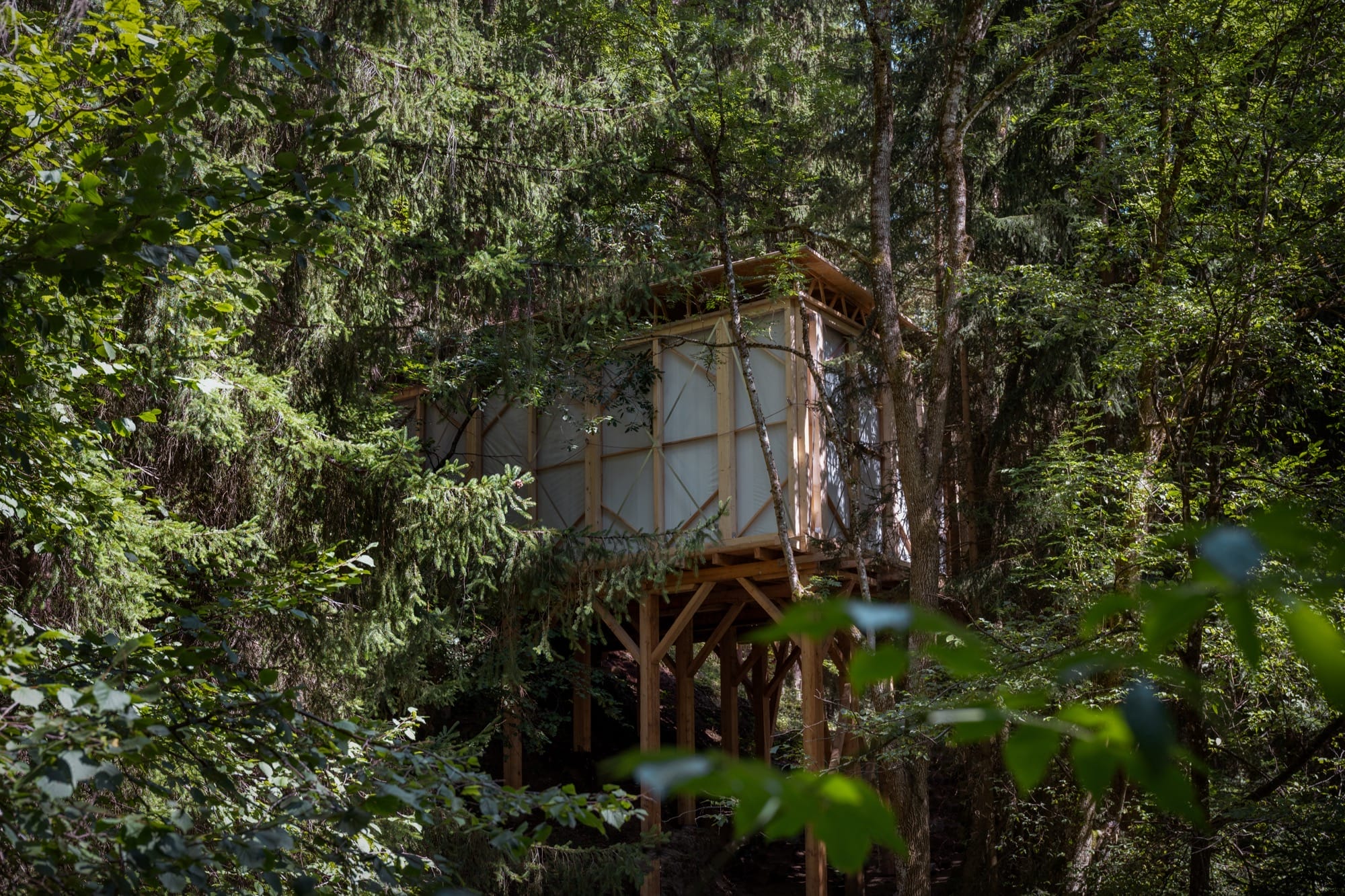 In 'Fictional Nature,' Fabian Knecht Encloses Live Trees and Craggy Stones in a White Cube Gallery2