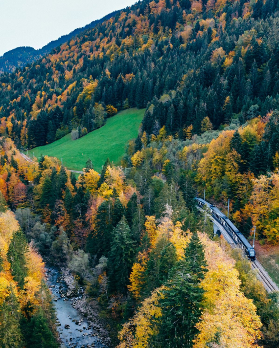 Цитрусові сади, льодовик та гірські вершини: шість казкових осінніх краєвидів, які вражають з вікна потяга0