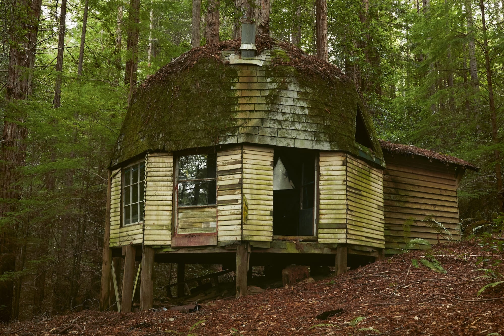 'Handmade Utopia' Relishes the Architecture of California's Back-to-the-Land Movement1