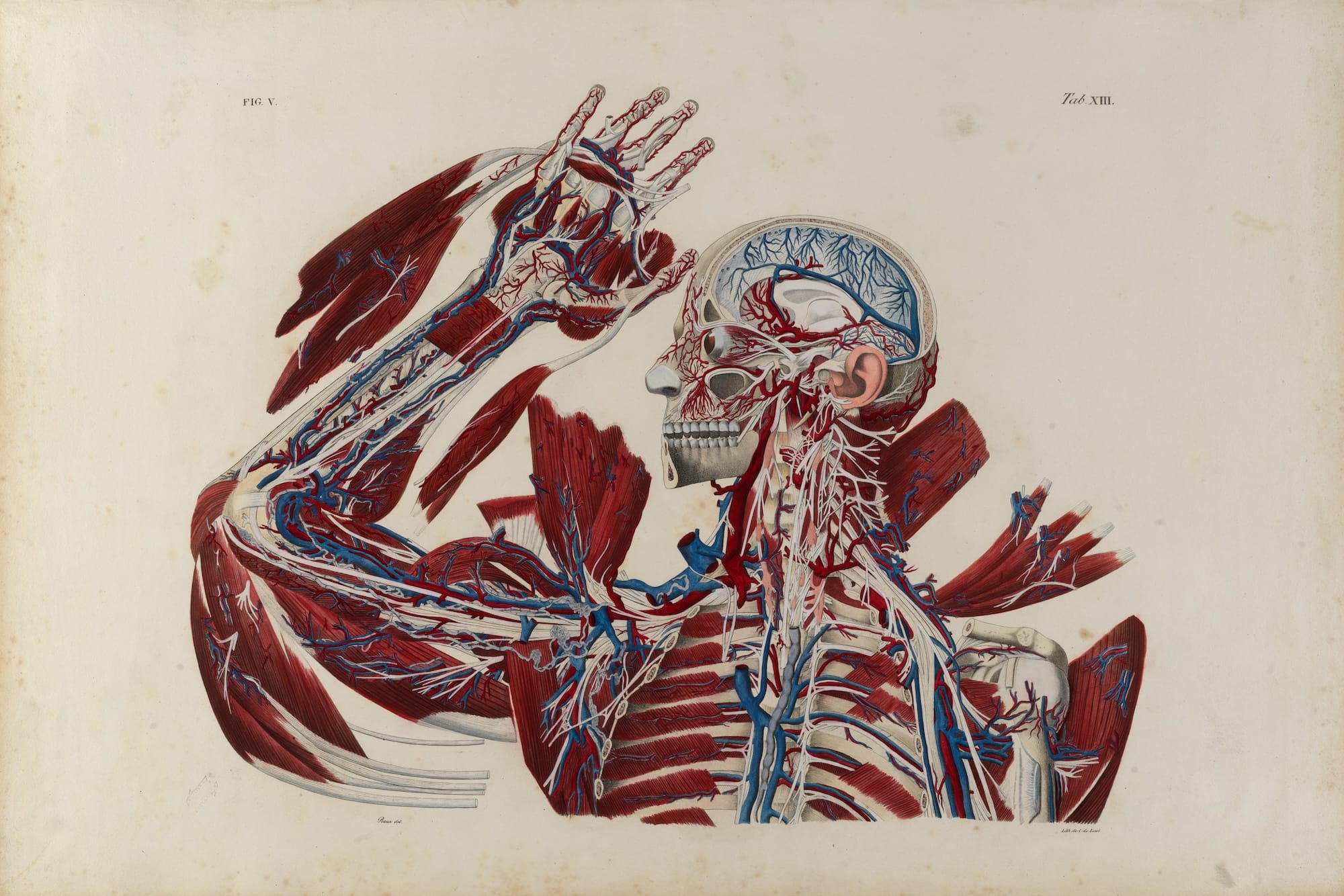 Twelve Centuries of Documents Illuminate Humans' Quest for Knowledge in 'World Unfolding'2