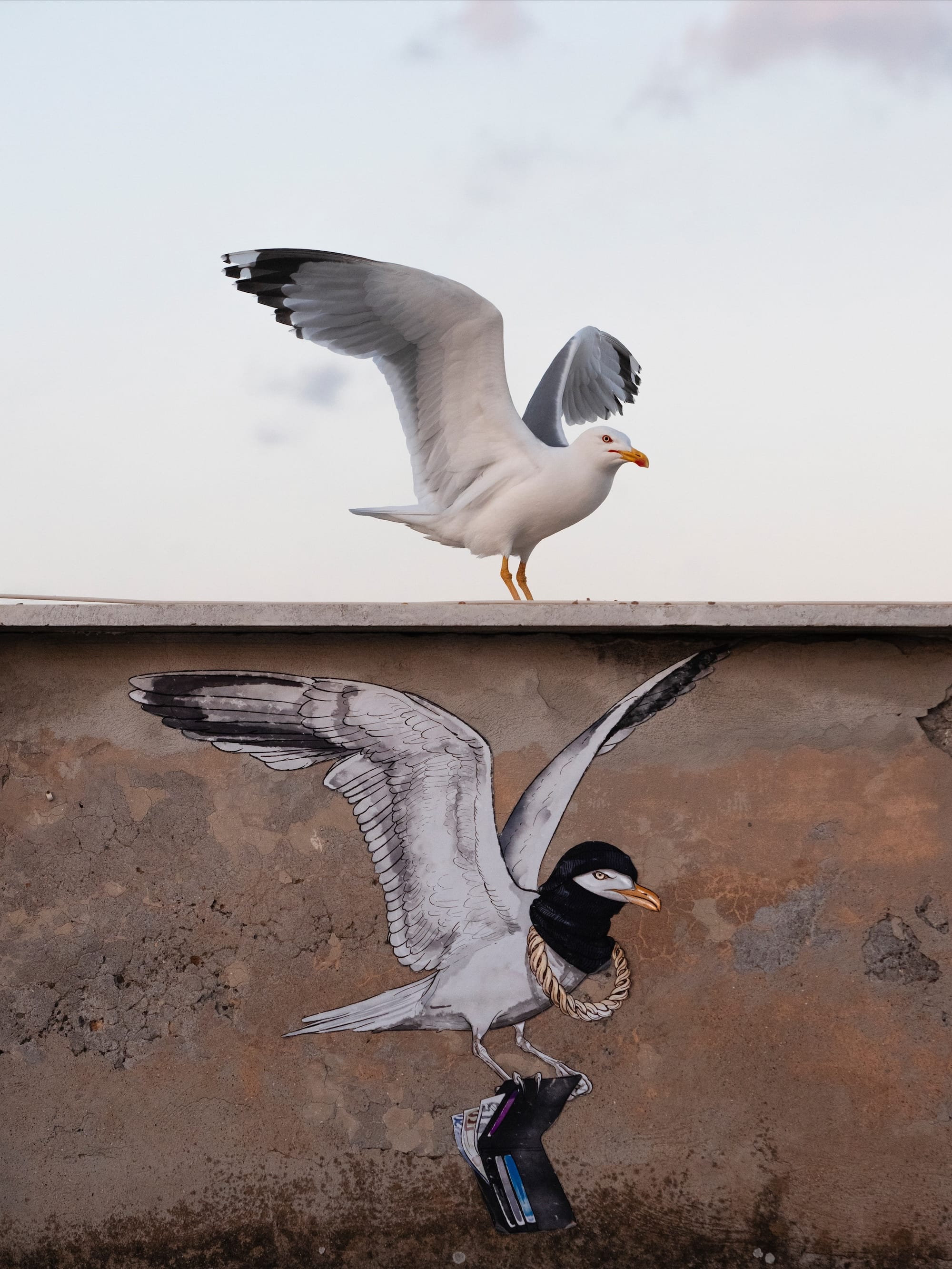 Diverse and Dramatic Behaviors Top the 2026 Bird Photographer of the Year Contest9