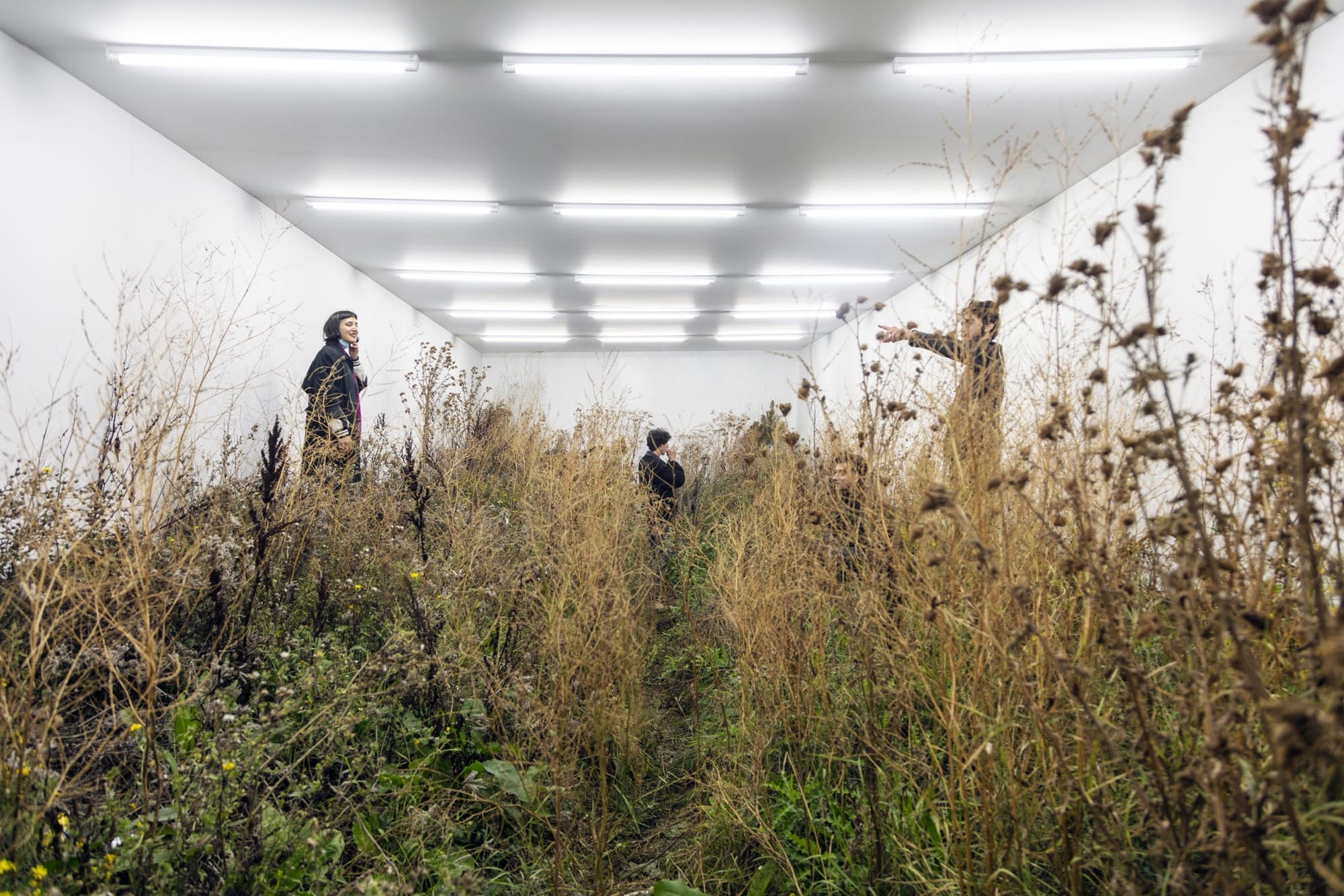 In 'Fictional Nature,' Fabian Knecht Encloses Live Trees and Craggy Stones in a White Cube Gallery8