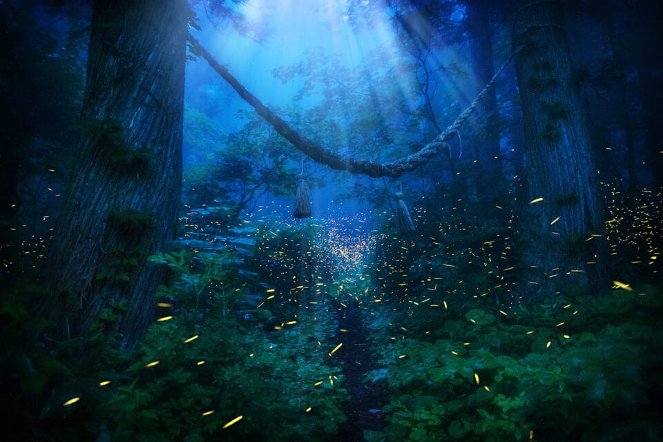 Kazuaki Koseki's Dreamy Photos Capture Japan's Forests Shimmering with Fireflies8