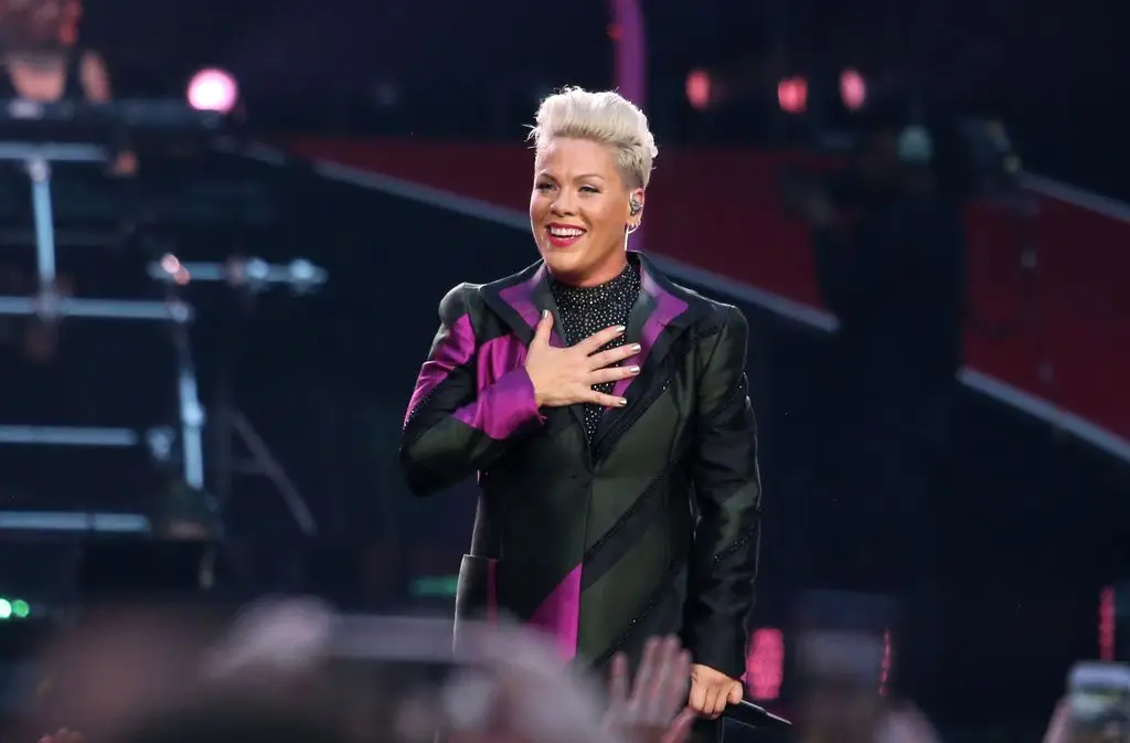 Pink finally breaks silence on backlash following Macklemore-Ed Sheeran controversy: 'Been portrayed as the villain before'5