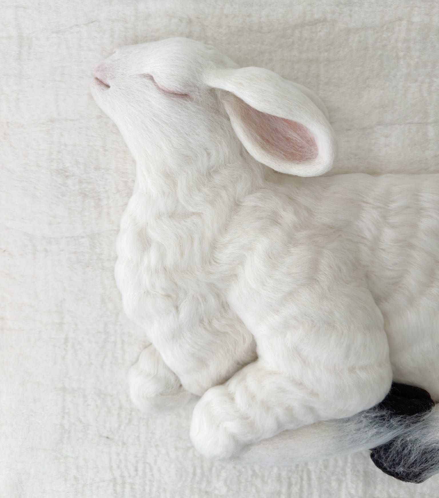 Animals and Ornament Emerge from Felted Wool in Holly Guertin's Textiles8