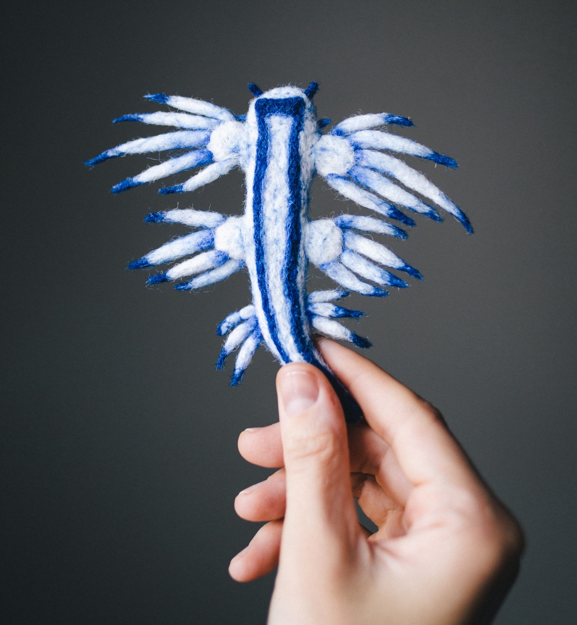 Dive into Wool Creature Lab's World of Vibrant Felted Nudibranchs1