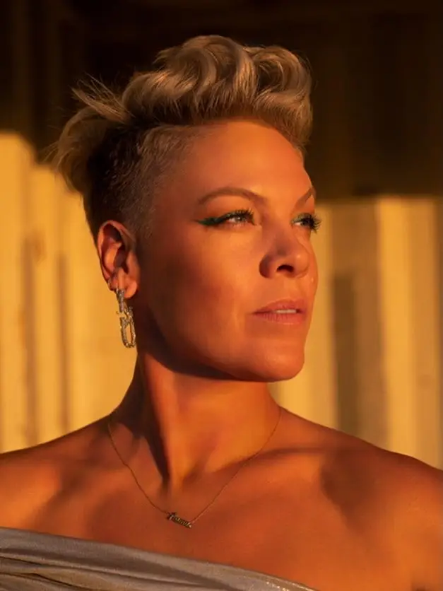 Pink finally breaks silence on backlash following Macklemore-Ed Sheeran controversy: 'Been portrayed as the villain before'2