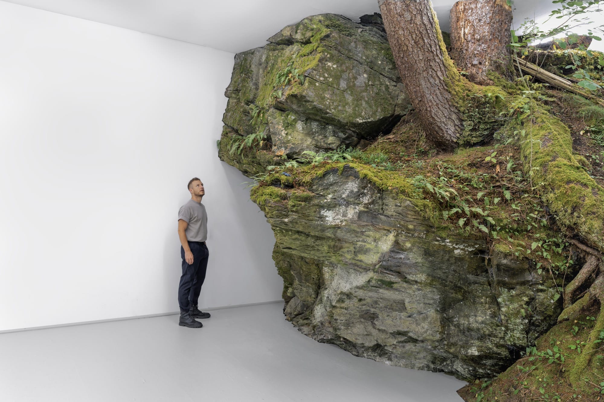In 'Fictional Nature,' Fabian Knecht Encloses Live Trees and Craggy Stones in a White Cube Gallery3