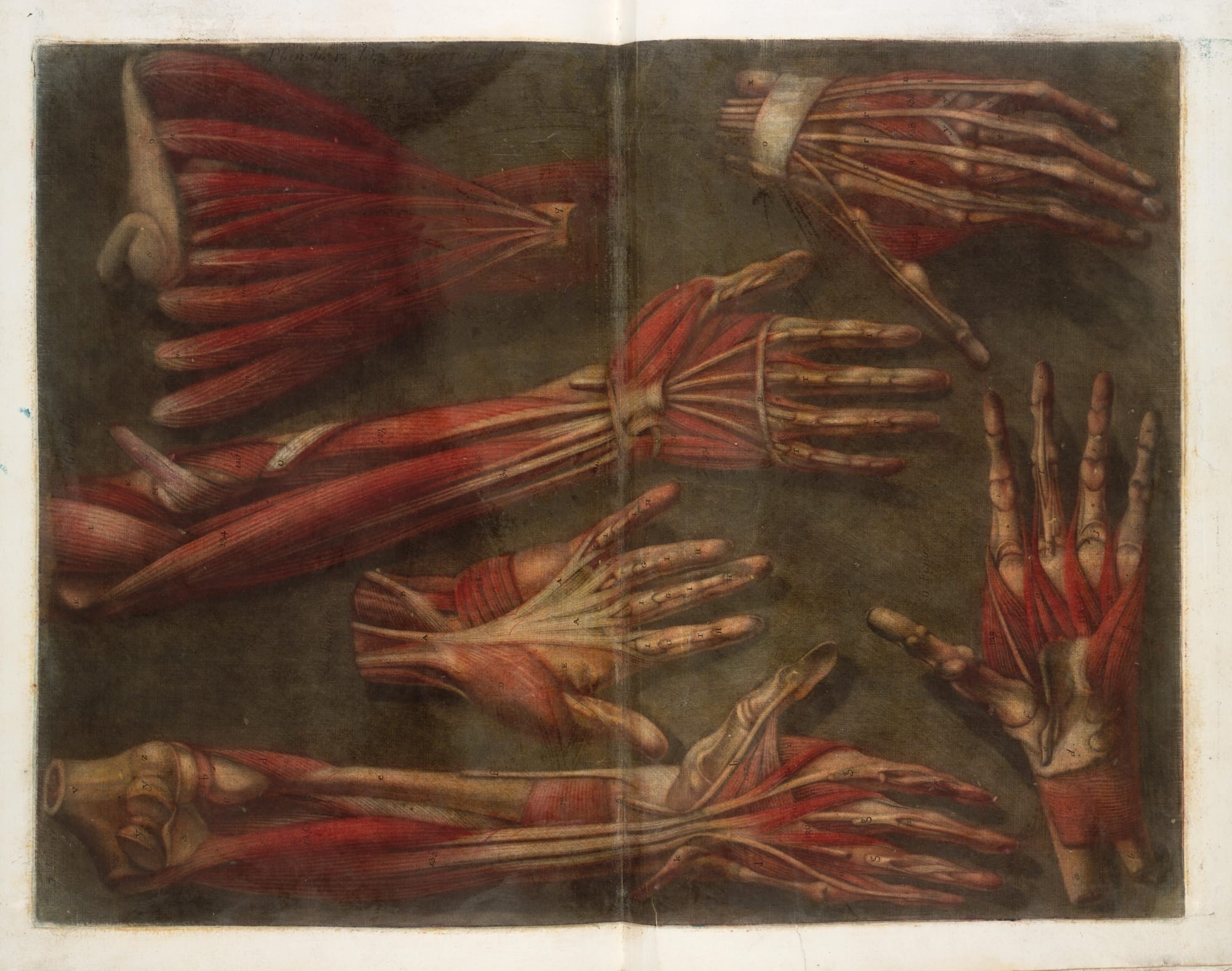 Twelve Centuries of Documents Illuminate Humans' Quest for Knowledge in 'World Unfolding'7
