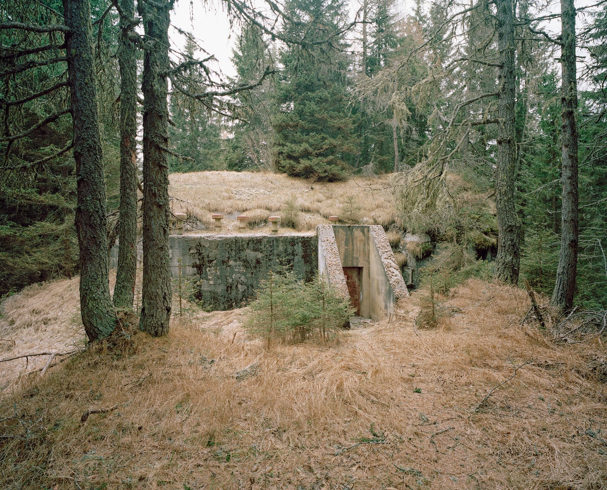 South Tyrol's Bunkers Shoulder WWII History in Vincenzo Pagliuca's Portraits6