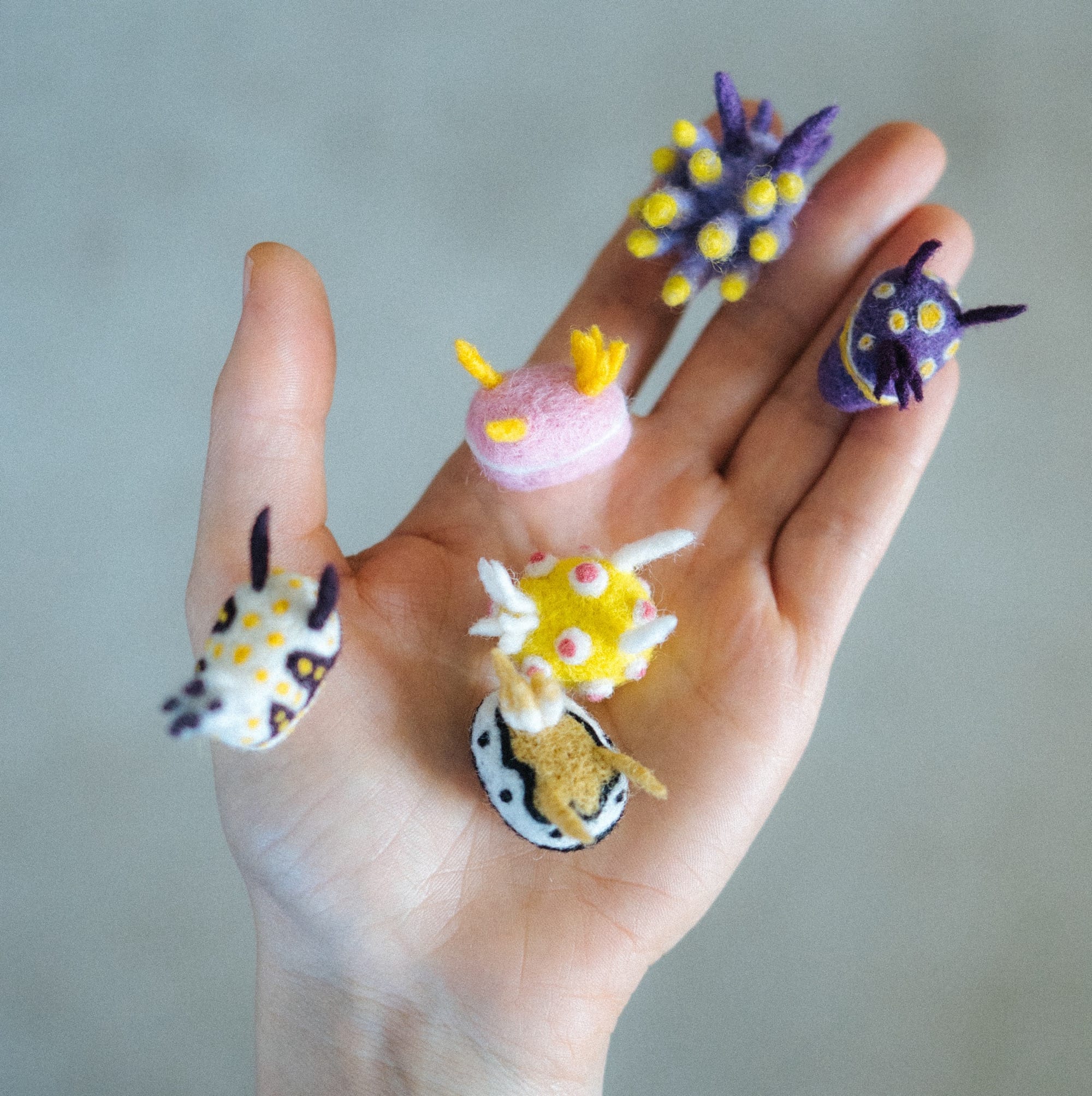 Dive into Wool Creature Lab's World of Vibrant Felted Nudibranchs4