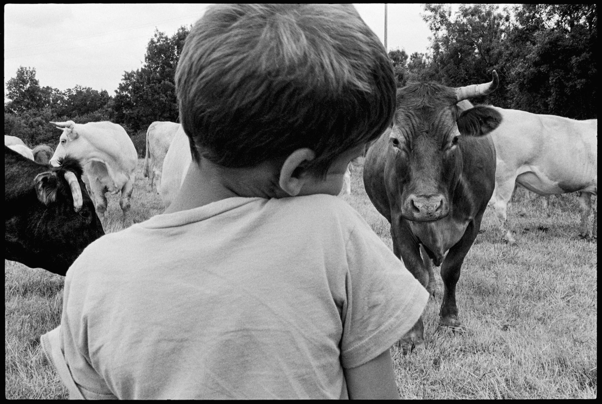 France Celebrates the Bicentennial of Photography with Traveling Themed Exhibitions6