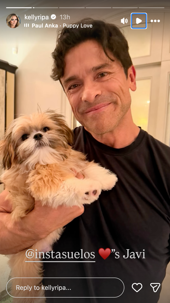 Kelly Ripa and Mark Consuelos share first photos of new family member after health scare: 'Welcome home'2