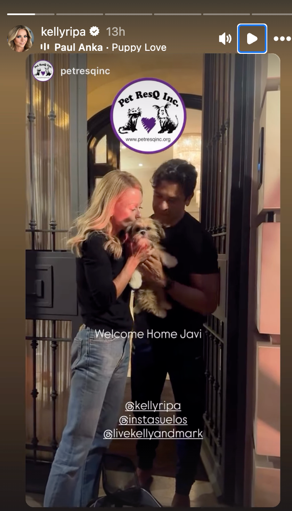 Kelly Ripa and Mark Consuelos share first photos of new family member after health scare: 'Welcome home'1